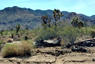 Desert View, on way back from Grand Canyon.