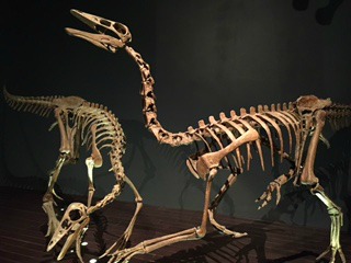 Dinosaur Structure at Royal Tyrrell Museum