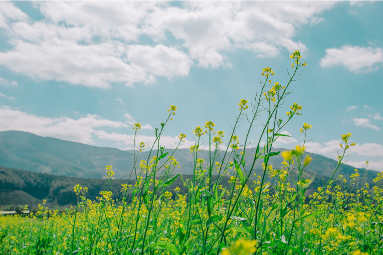 How to End Panic Attacks Naturally